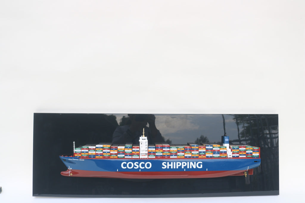 Half-Hull Model Cosco Ship 100 x 8 x H. 30 cm