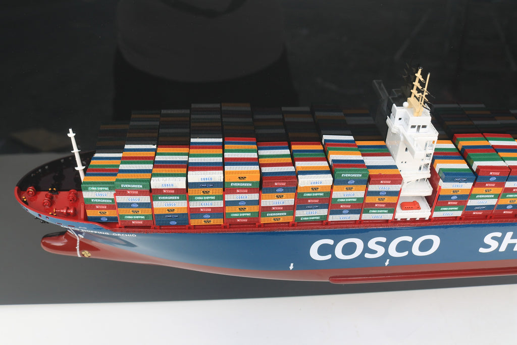 Half-Hull Model Cosco Ship 100 x 8 x H. 30 cm