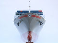 Model Cargo Ship WAN HAI A09 100 x 15 x H. 31 cm